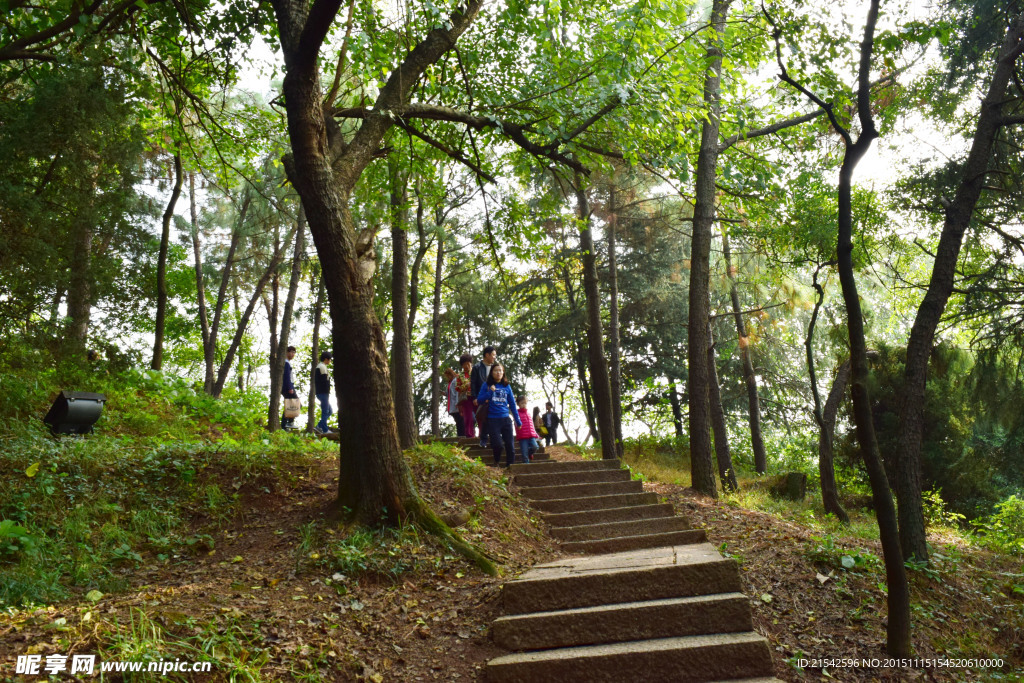 山间小路