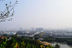亭林公园鸟瞰图