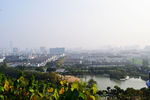 亭林公园鸟瞰图