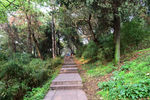 山间小路