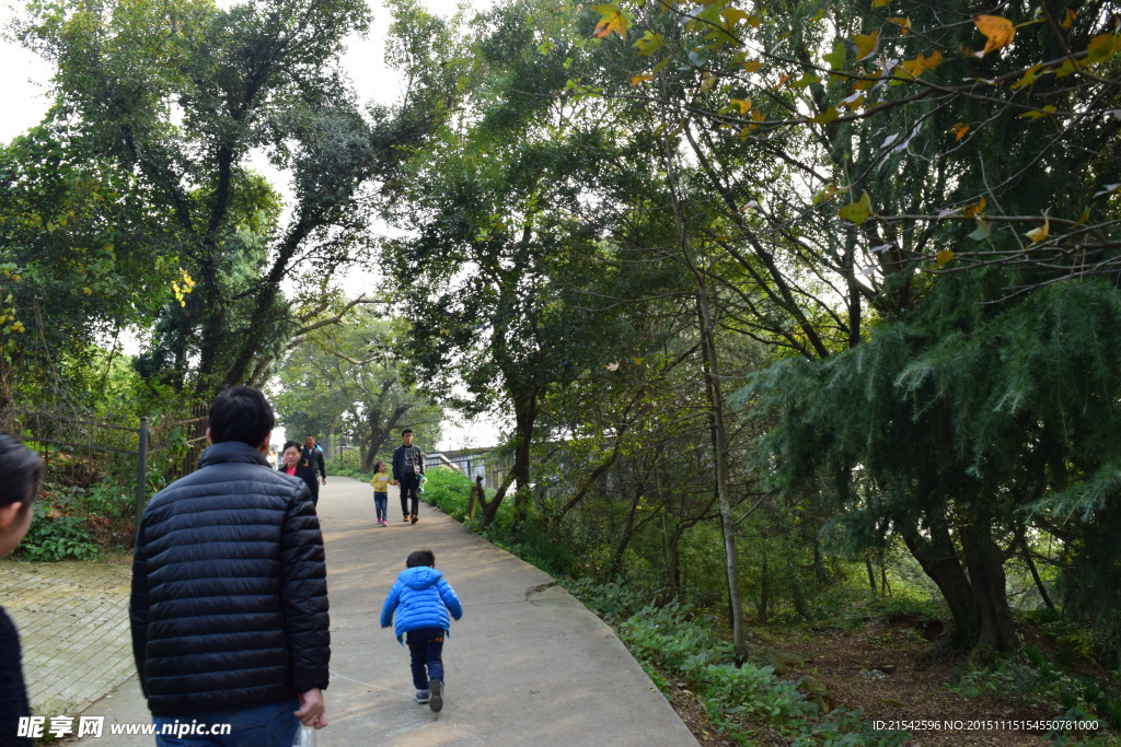绿化小路
