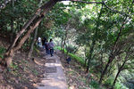 山间小路