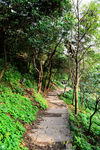 山间小路