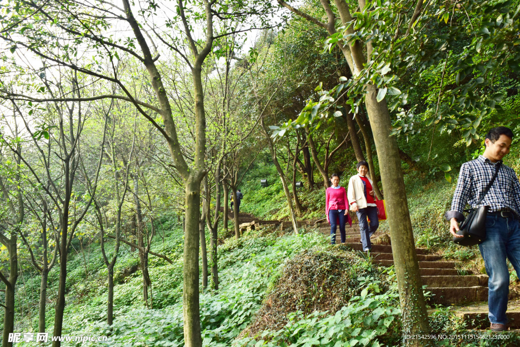 山间小路