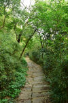 山间小路