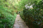 山间小路