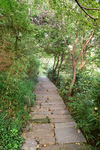 山间小路