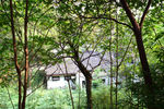 山中房屋