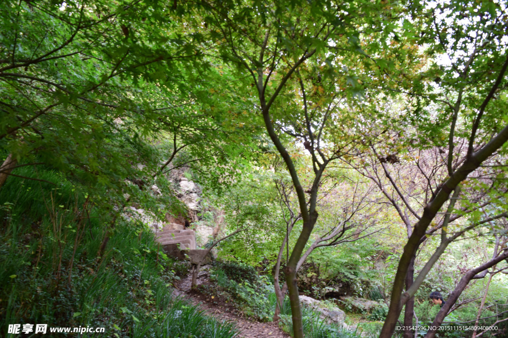 山间小路