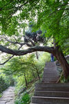 山间小路