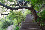 山间小路