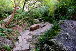 山间小路