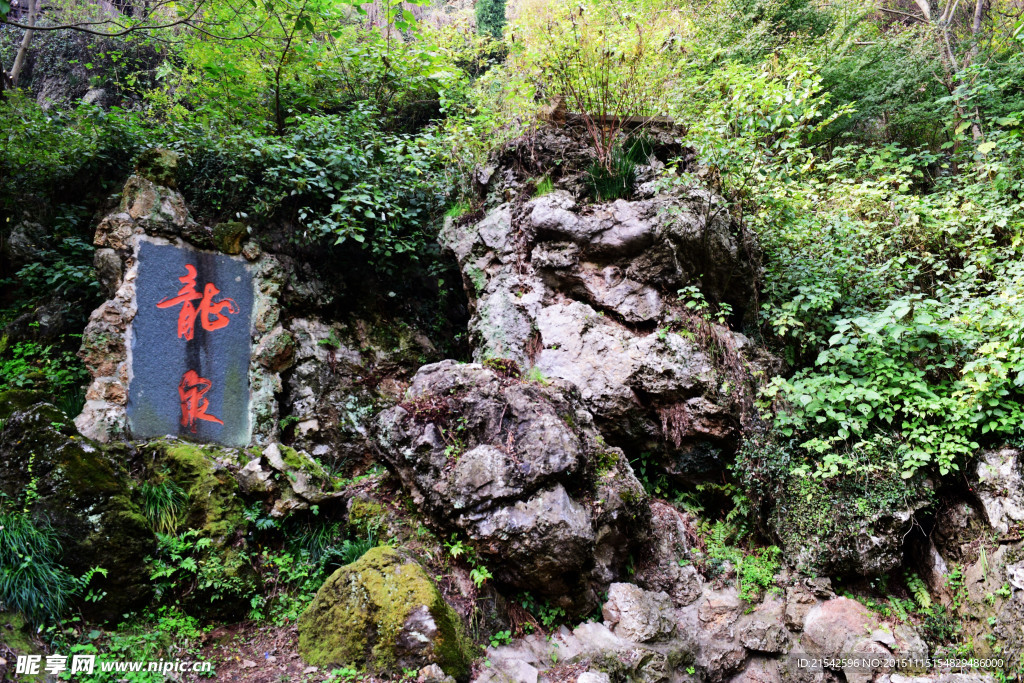 亭林公园