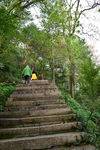 山间小路
