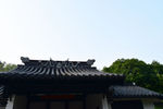 屋顶