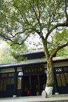 亭林公园
