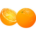 橙子水果矢量素材