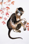 猴子墨画