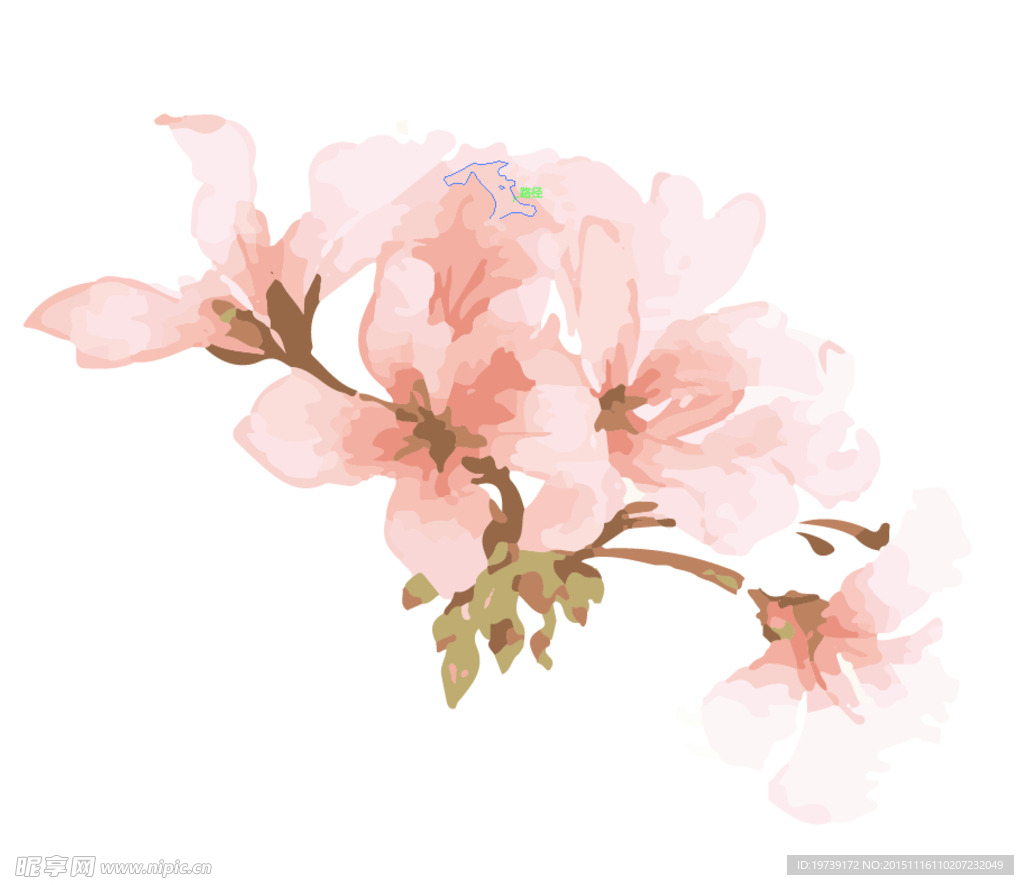 矢量花