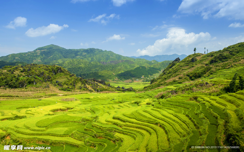 美丽梯田
