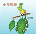 缝叶莺