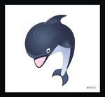 海豚 海洋 动物 海水 游泳