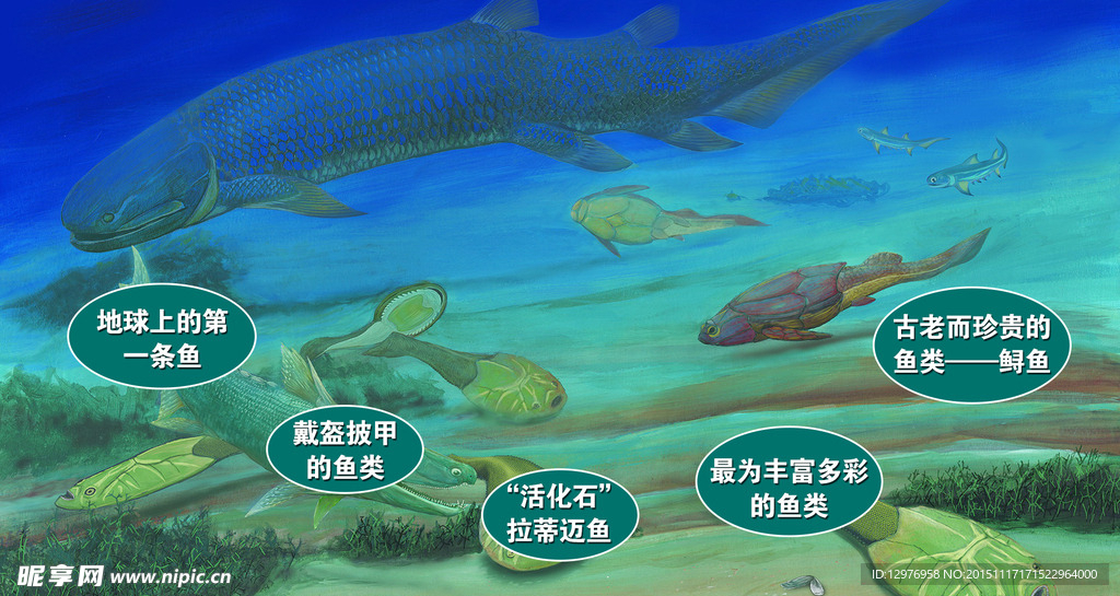 远古的鱼类