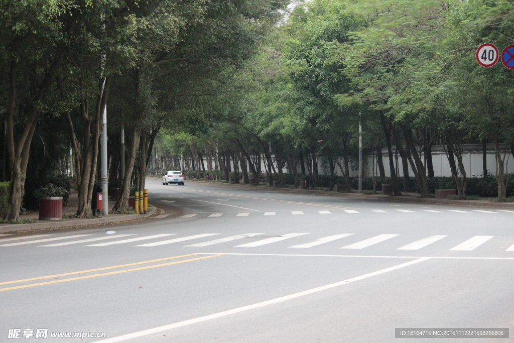 弯道 道路 绿道景色