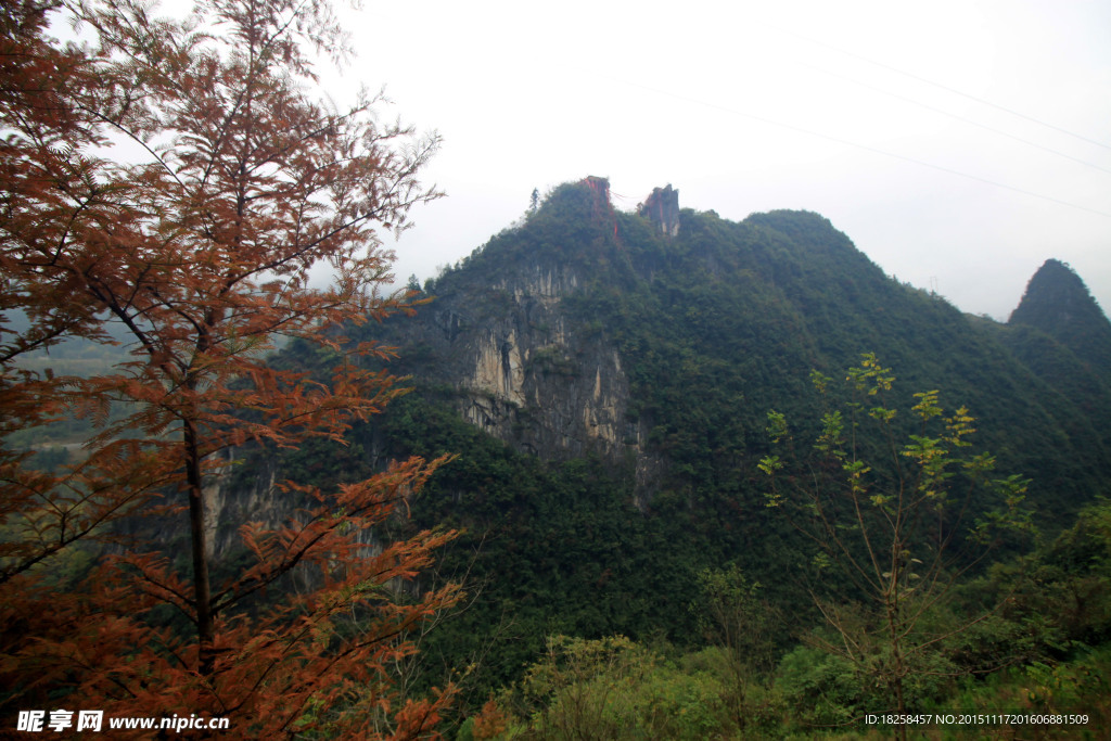 大巴山峡谷