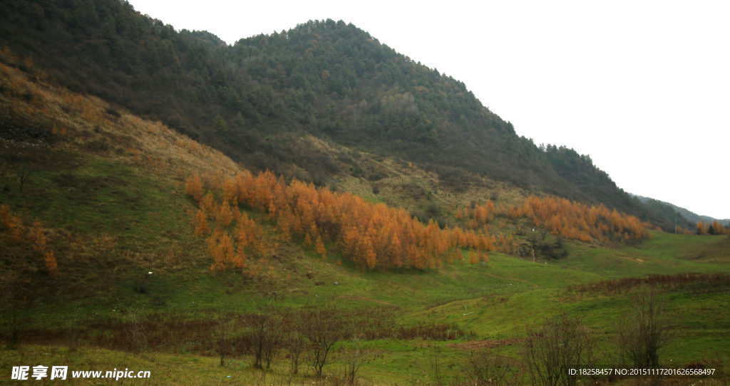 巫溪红池坝