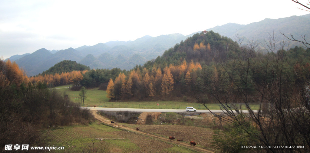 巫溪红池坝