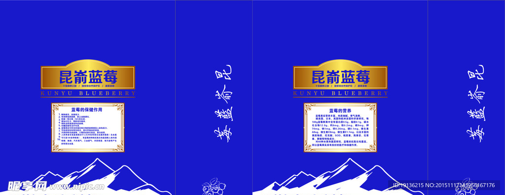 蓝梅手提袋设计