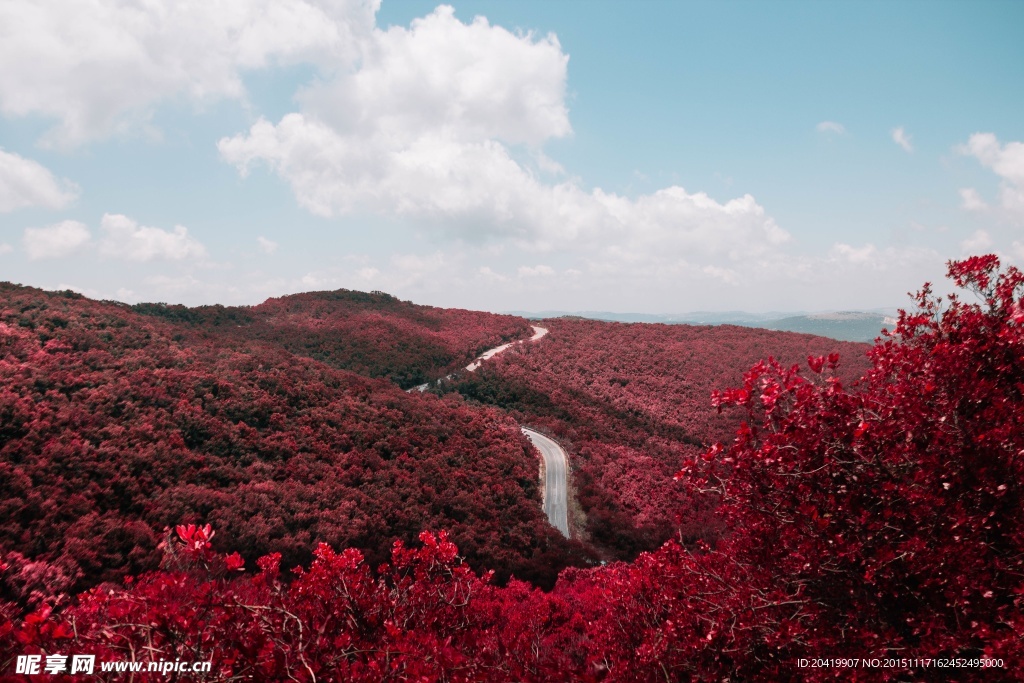 山水