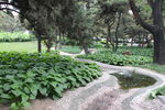 公园小河