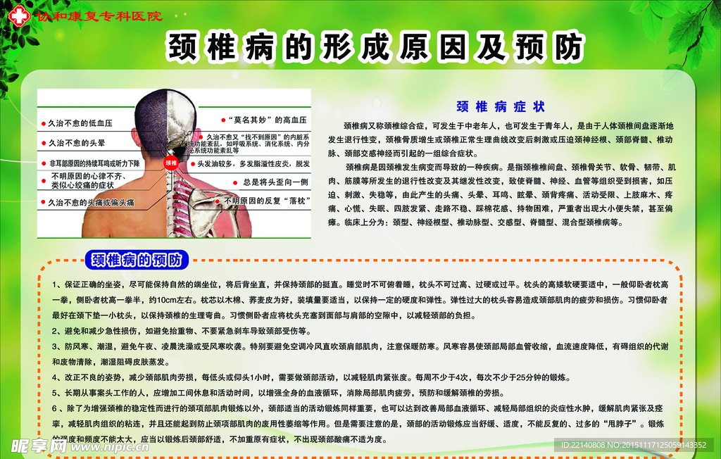 颈椎病形成原因与预防