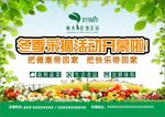 户外大牌