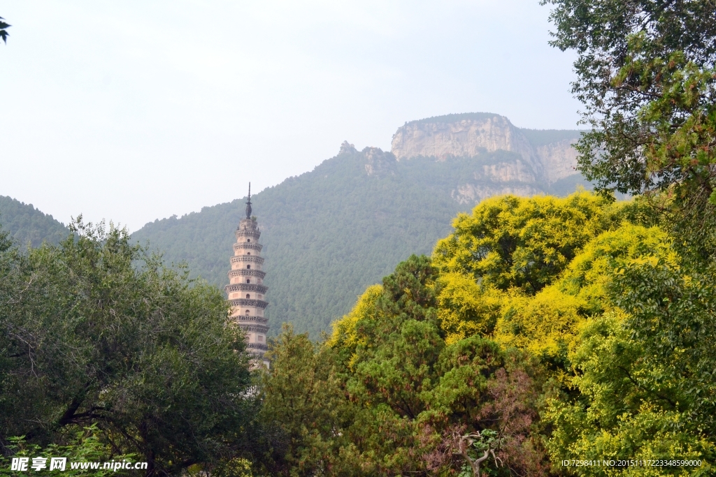 灵岩寺辟支塔