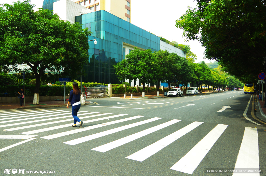 城市交通 交通道路