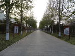 小路