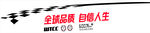 爱丽舍车身贴