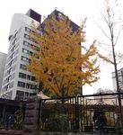 居民楼