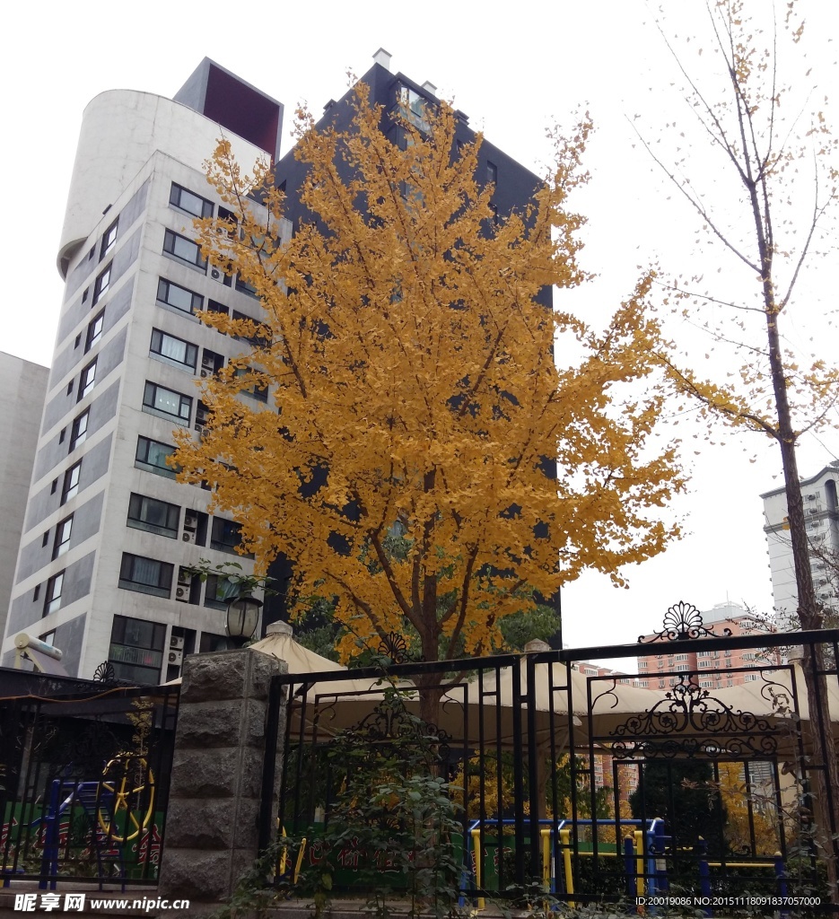 居民楼