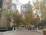 小区绿化