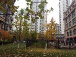 小区环境