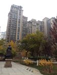 小区绿化
