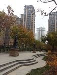 小区环境