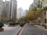 小区环境