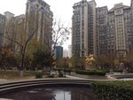 小区环境