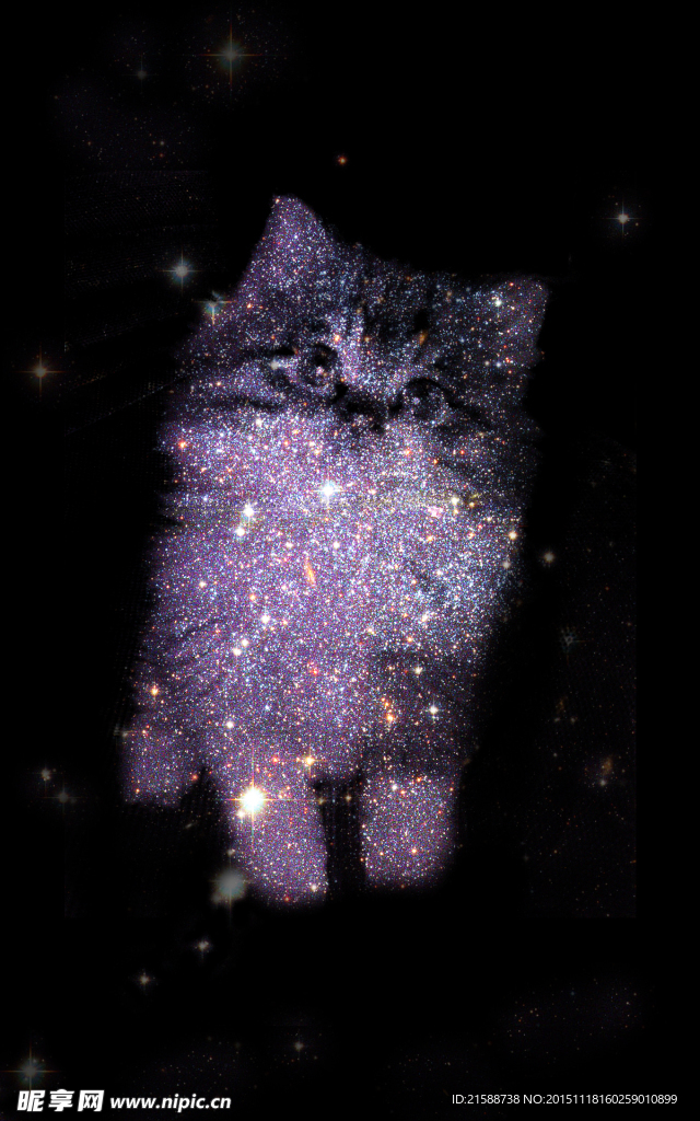 星空小猫