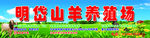 山羊养殖场
